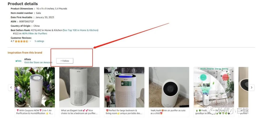 不允许你还不知道这个流量渠道——Amazon Post