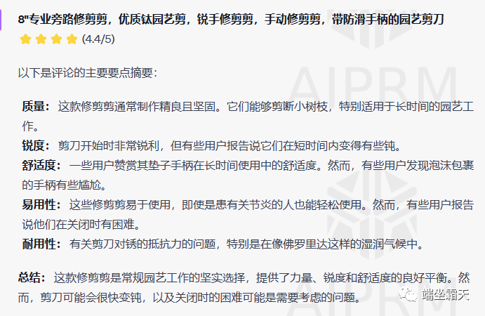 一秒分析一个产品,ChatGPT 4.0插件Review Reader使用指南