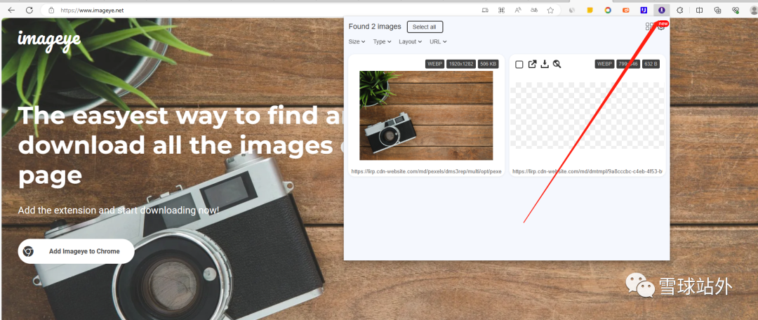 如何批量下载Instagram图片?一个工具就能解决