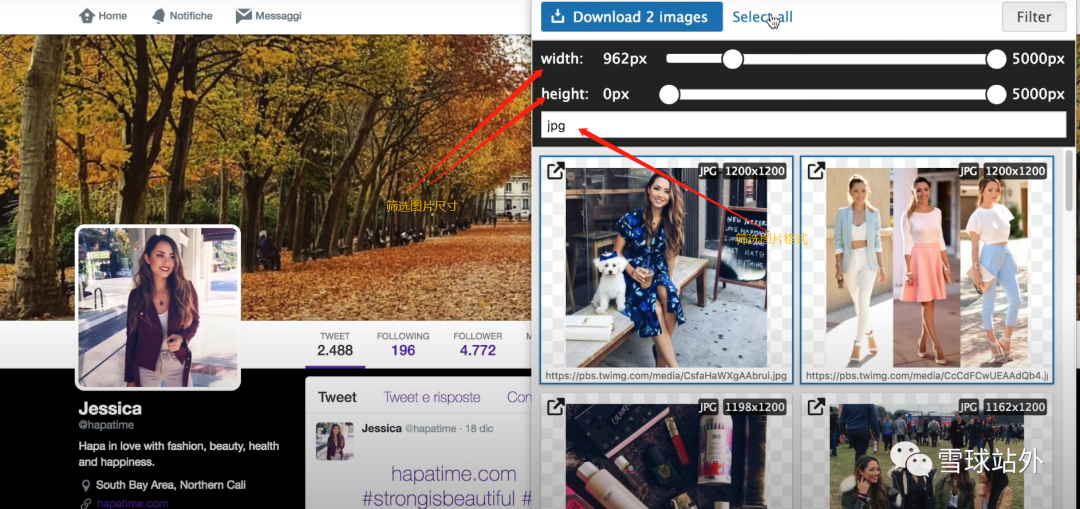 如何批量下载Instagram图片?一个工具就能解决